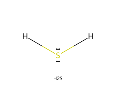 H₂S